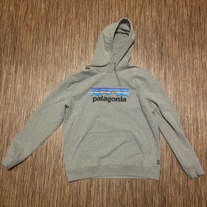 Patagonia sweatshirt